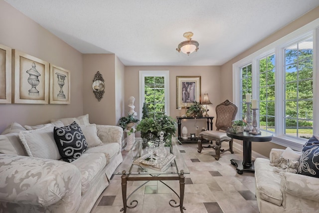 67 Hayden Hill Rd, Haddam, CT 06438 - living room featuring plenty of natural light