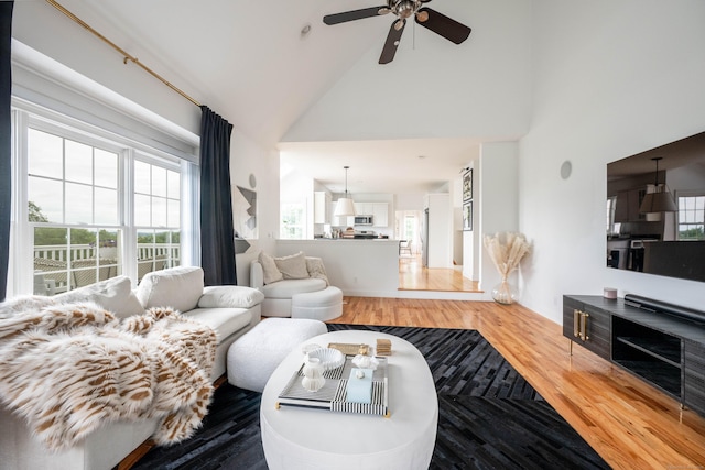 557 Upper Grassy Hill Rd, Woodbury, CT 06798 - living area with wood finished floors, a ceiling fan, and high vaulted ceiling