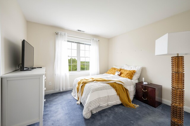 557 Upper Grassy Hill Rd, Woodbury, CT 06798 - bedroom with carpet flooring and baseboards