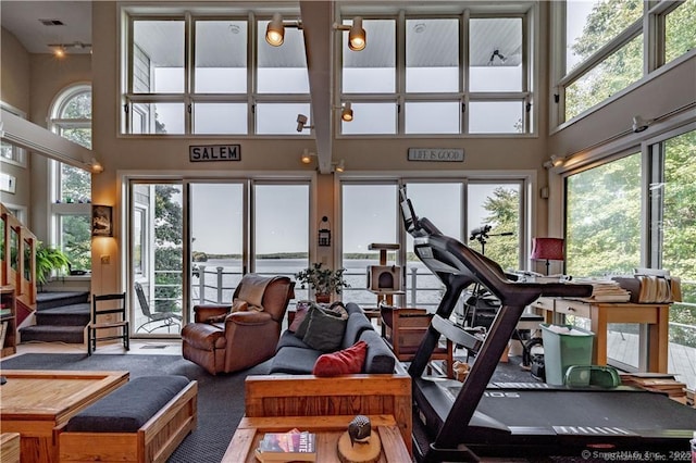 166 Old Colchester Rd, Salem, CT 06420 - gym with a towering ceiling and carpet floors
