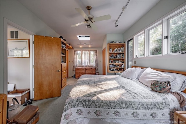 166 Old Colchester Rd, Salem, CT 06420 - bedroom with track lighting, carpet, and ceiling fan