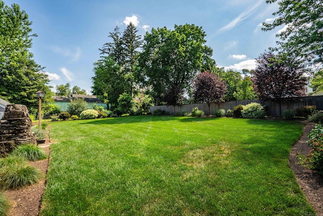 21 Walnut St, Newington, CT 06111 - view of yard