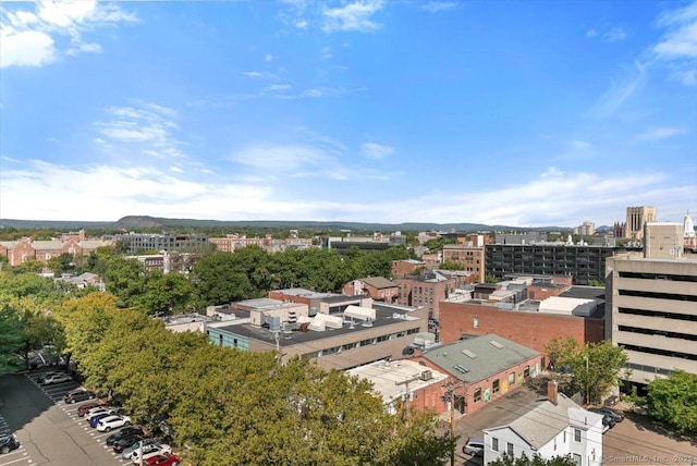 100 York St Unit 11B, New Haven, CT 06511 - view of urban area