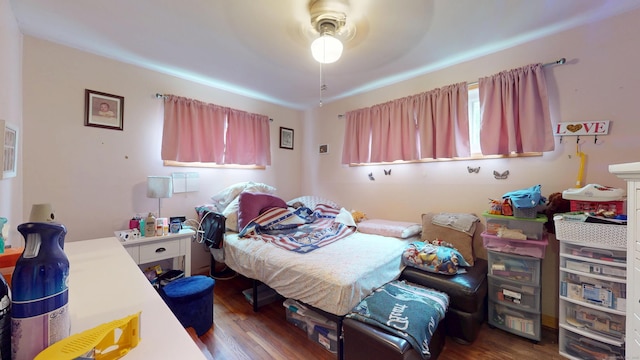 35 Cianci Rd, New Britain, CT 06053 - bedroom featuring wood finished floors and ceiling fan