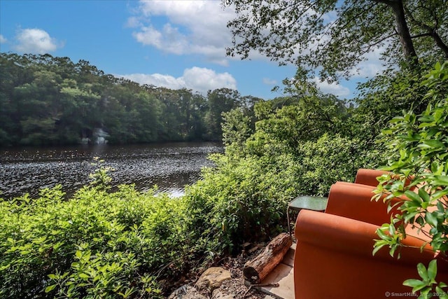 175 Saddle Hill Rd, Stamford, CT 06903 - water view featuring a heavily wooded area