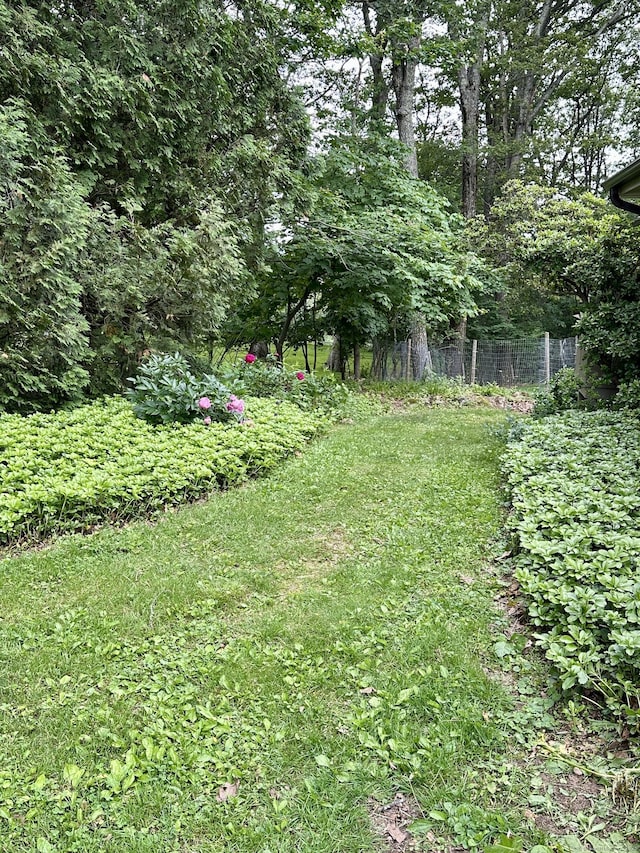 123 Silkey Rd, Granby, CT 06060 - view of yard