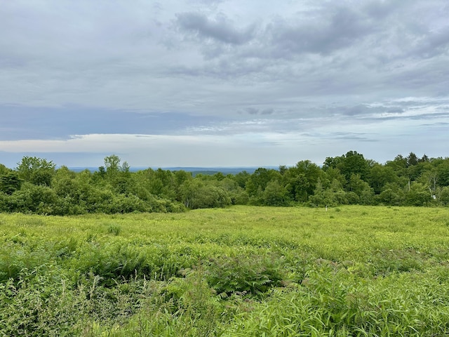 123 Silkey Rd, Granby, CT 06060 - view of undeveloped land