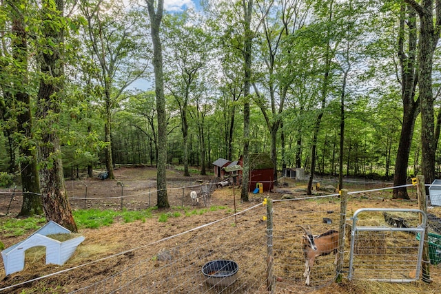 123 Silkey Rd, Granby, CT 06060 - view of yard