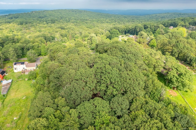 123 Silkey Rd, Granby, CT 06060 - aerial view of property and surrounding area featuring a heavily wooded area