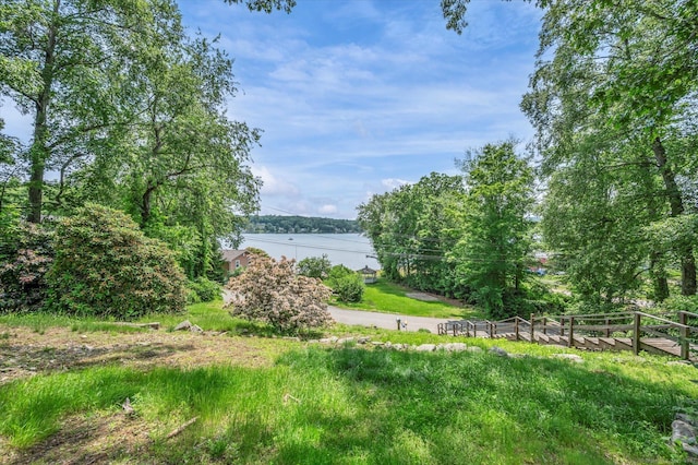 421 Hemlock Point Dr, Coventry, CT 06238 - view of yard