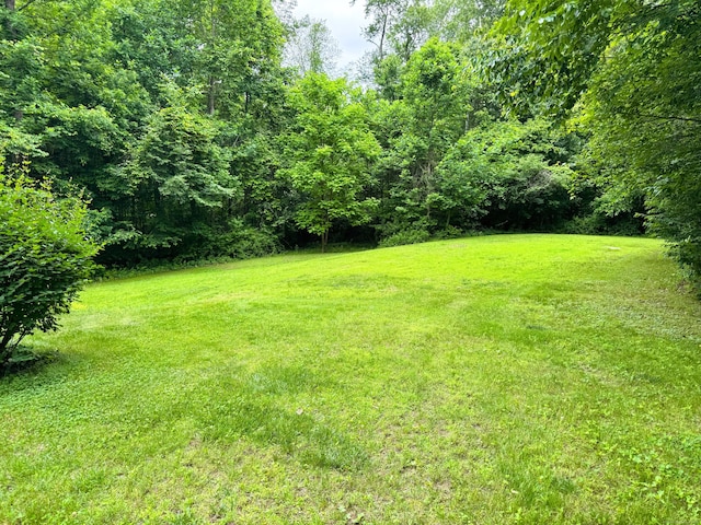 24 Alger Rd, East Haddam, CT 06423 - view of green lawn with a forest view