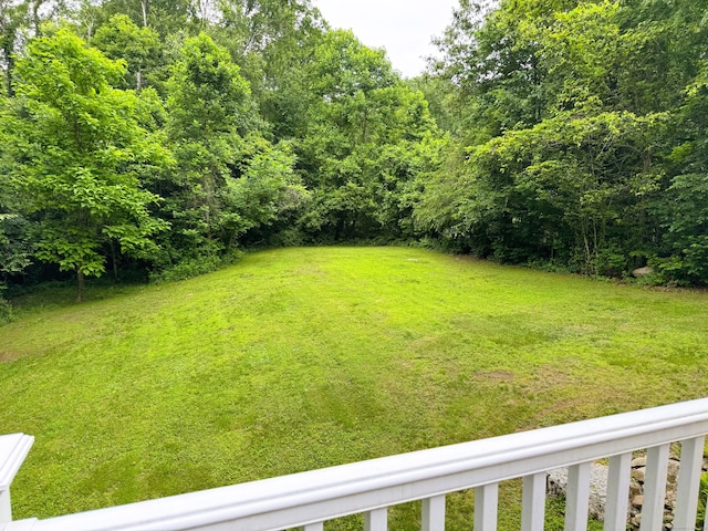 24 Alger Rd, East Haddam, CT 06423 - view of grassy yard