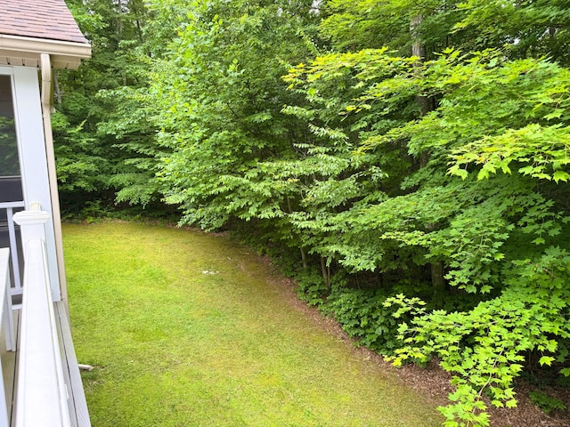 24 Alger Rd, East Haddam, CT 06423 - view of green lawn