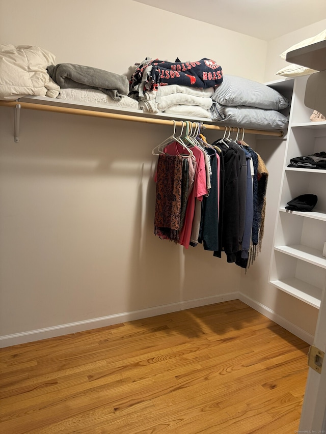 24 Alger Rd, East Haddam, CT 06423 - spacious closet with light wood finished floors