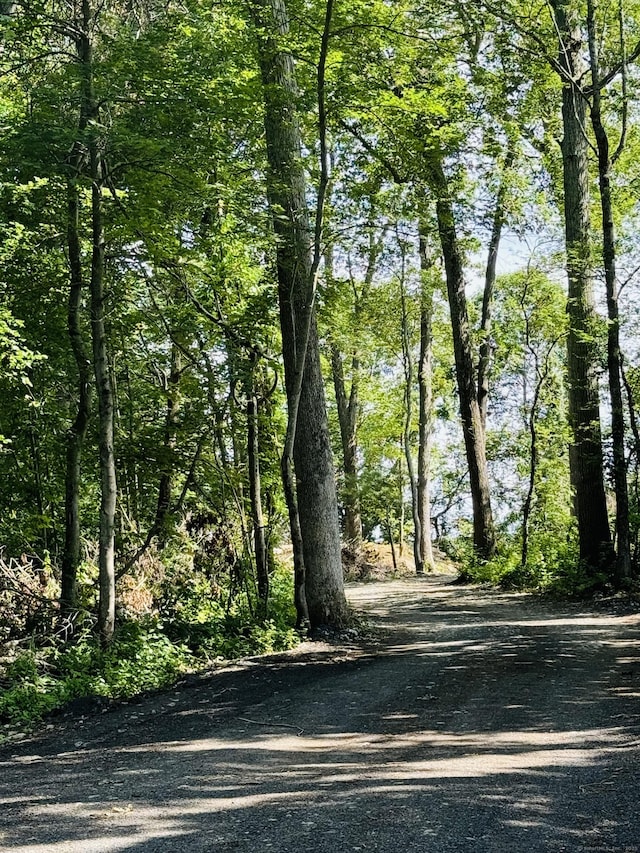 248 Rukstella Rd, Brooklyn, CT 06234 - view of road featuring a view of trees