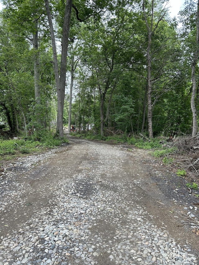 248 Rukstella Rd, Brooklyn, CT 06234 - view of dirt / gravel road with a view of trees