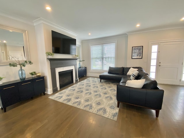 159 Colonial Rd Unit 5, Stamford, CT 06906 - living area featuring a fireplace, healthy amount of natural light, crown molding, wood finished floors, and recessed lighting