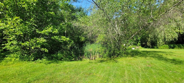 425 E Cotton Hill Rd, New Hartford, CT 06057 - view of undeveloped land