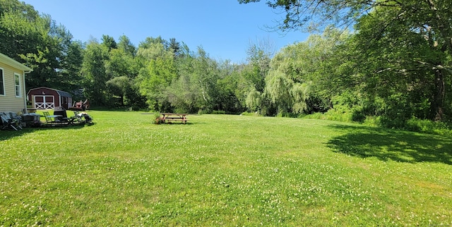 425 E Cotton Hill Rd, New Hartford, CT 06057 - view of grassy yard featuring a shed and a view of trees