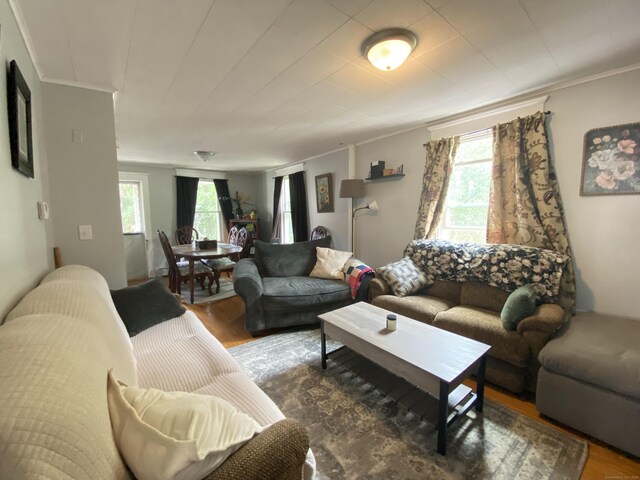 114 Pulaski St, Torrington, CT 06790 - living area with ornamental molding and wood finished floors