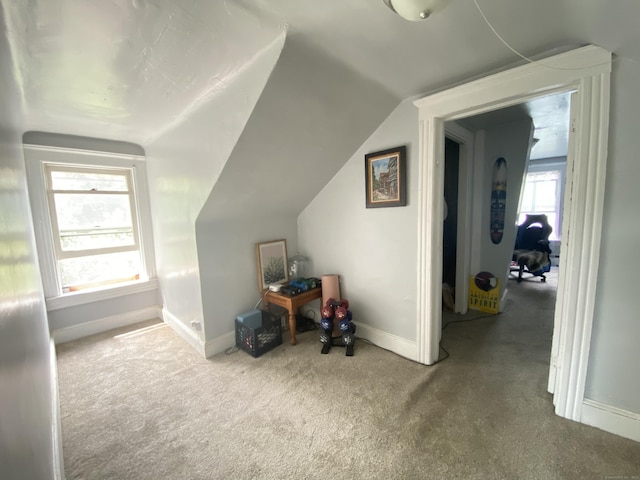 114 Pulaski St, Torrington, CT 06790 - bonus room with carpet flooring and vaulted ceiling