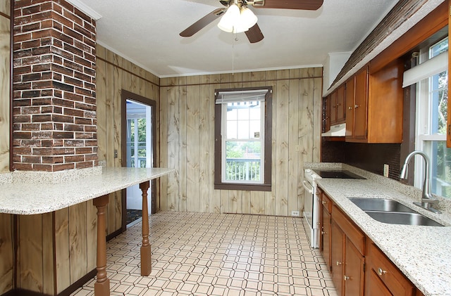 34 Hobart St, Meriden, CT 06450 - kitchen featuring electric range, crown molding, under cabinet range hood, wood walls, and brown cabinetry