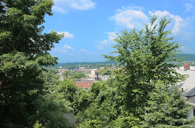 34 Hobart St, Meriden, CT 06450 - view of mountain background