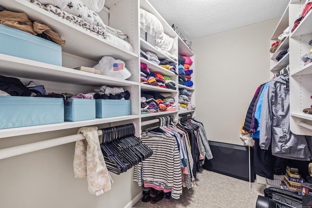 17 Font Hill Park Unit 17, Bloomfield, CT 06002 - walk in closet featuring carpet