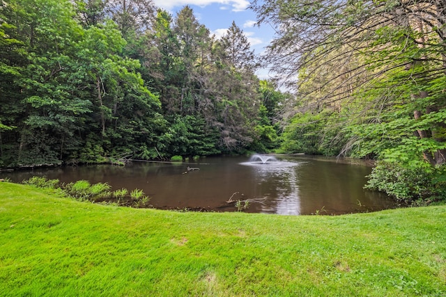 17 Font Hill Park Unit 17, Bloomfield, CT 06002 - water view with a heavily wooded area
