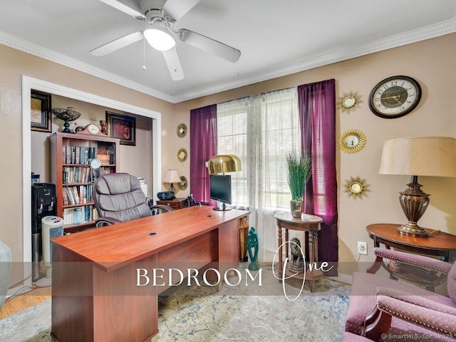 7 Sylvan Rd, Danbury, CT 06811 - office featuring ornamental molding and ceiling fan
