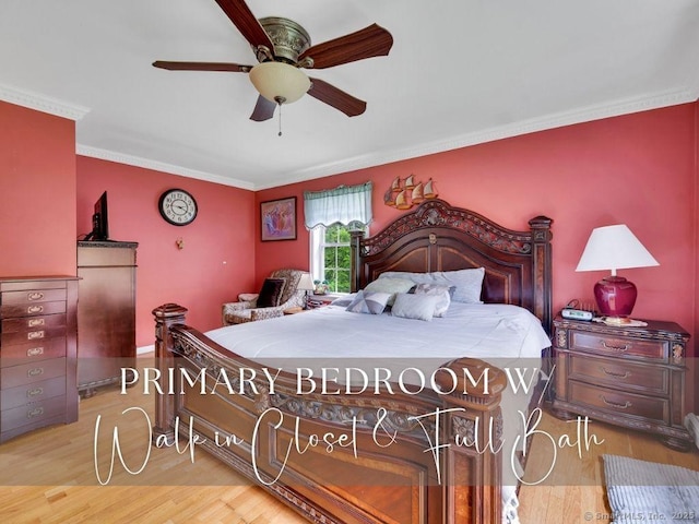 7 Sylvan Rd, Danbury, CT 06811 - bedroom with wood finished floors, ornamental molding, and ceiling fan
