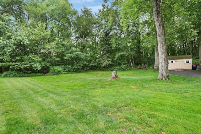 58 Inca Dr, Trumbull, CT 06611 - view of grassy yard featuring a storage shed