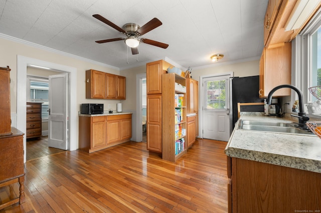 89 Geer Ave, Norwich, CT 06360 - kitchen with hardwood / wood-style flooring, a ceiling fan, light countertops, ornamental molding, and open shelves
