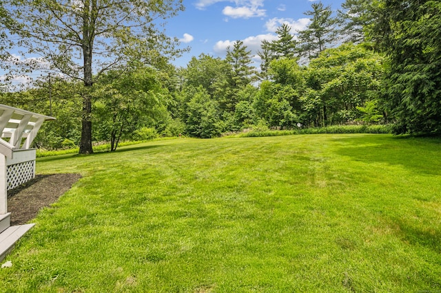 28 Saddle Ridge Dr, Simsbury, CT 06092 - view of grassy yard
