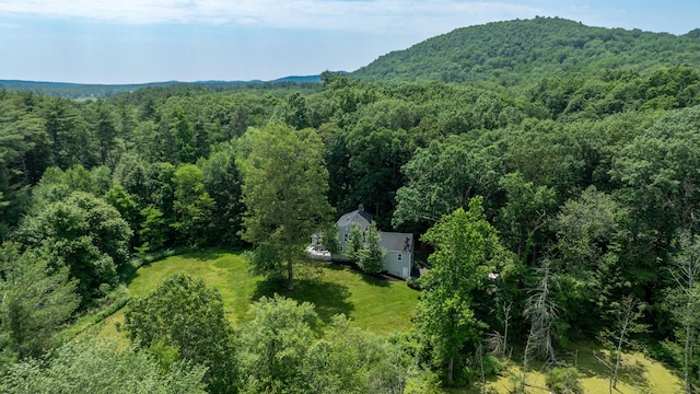 28 Saddle Ridge Dr, Simsbury, CT 06092 - view of mountain background featuring a forest