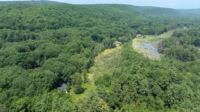 28 Saddle Ridge Dr, Simsbury, CT 06092 - aerial view of property's location featuring a heavily wooded area and a nearby body of water