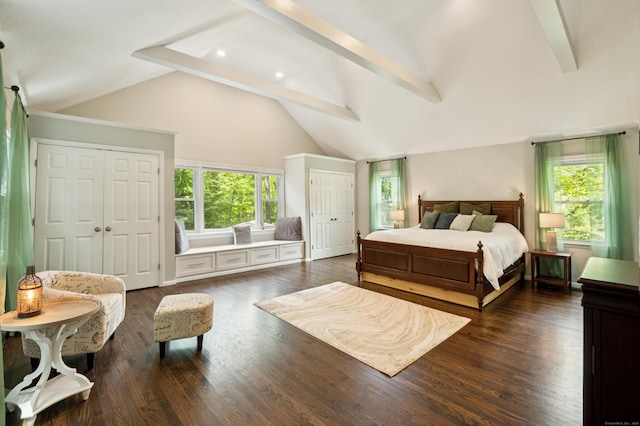 28 Saddle Ridge Dr, Simsbury, CT 06092 - bedroom with beam ceiling, multiple windows, multiple closets, dark wood-type flooring, and high vaulted ceiling