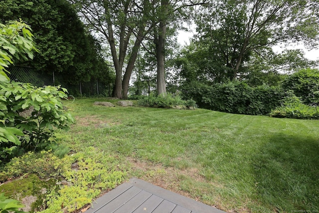 3743 Park Ave, Fairfield, CT 06825 - view of grassy yard