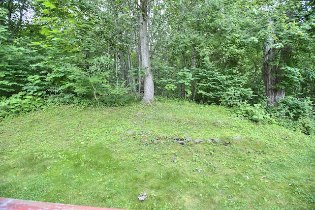121 Lexington Ave Unit 21, New Haven, CT 06513 - view of yard with a forest view