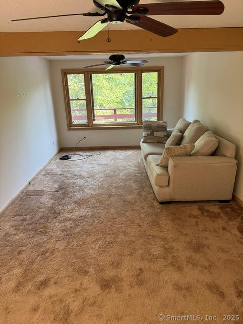 80 Birchbank Rd, Shelton, CT 06484 - photo 19