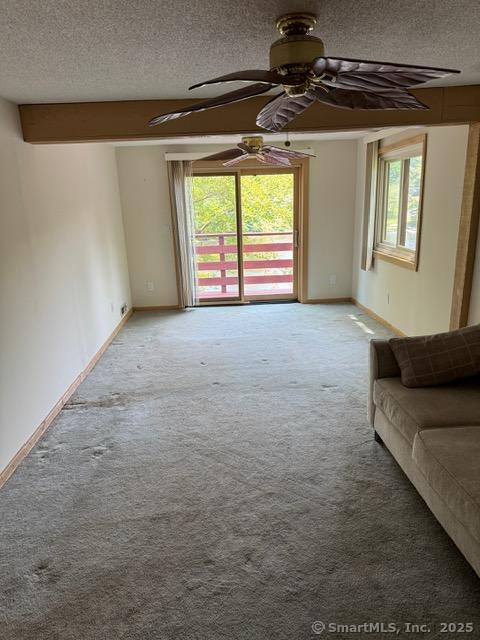 80 Birchbank Rd, Shelton, CT 06484 - photo 20