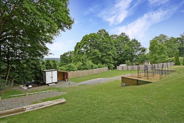 31 Bristol St, Thomaston, CT 06787 - view of yard with a shed and a vegetable garden