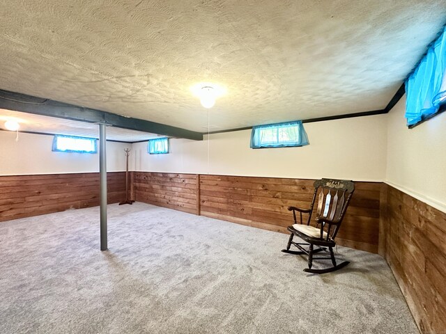 462 Halfway House Rd, Windsor Locks, CT 06096 - basement featuring a textured ceiling, wood walls, a wainscoted wall, and carpet flooring