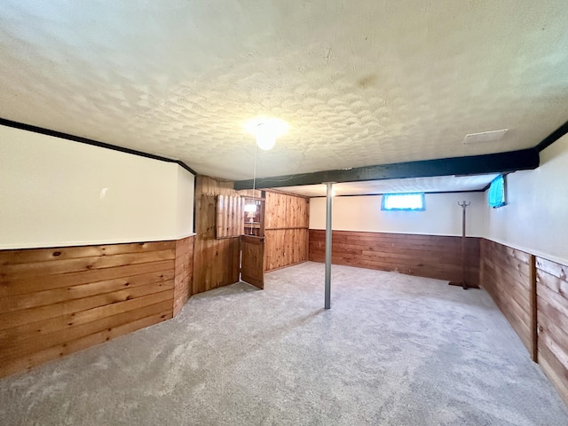 462 Halfway House Rd, Windsor Locks, CT 06096 - below grade area featuring wood walls, a wainscoted wall, a textured ceiling, and carpet floors