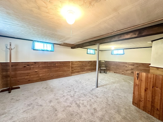 462 Halfway House Rd, Windsor Locks, CT 06096 - basement with wood walls, plenty of natural light, wainscoting, and carpet flooring