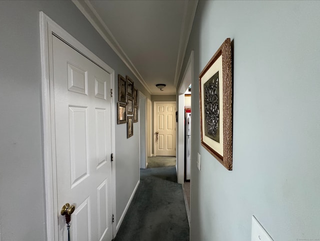 20 Daly St Apt 2C, Stamford, CT 06902 - photo 5
