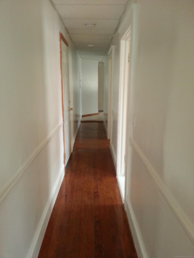 18 Hunters Ave, Norwich, CT 06380 - hallway featuring dark wood finished floors, a paneled ceiling, a wainscoted wall, and a decorative wall