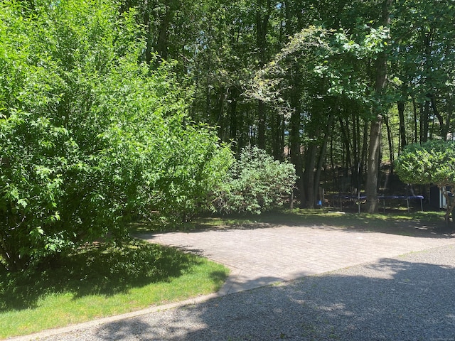 46 Twin Oak Farm Rd, Wallingford, CT 06492 - view of yard with a trampoline