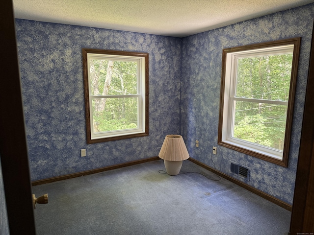 394 Merrow Rd, Coventry, CT 06238 - carpeted empty room featuring a textured ceiling and baseboards