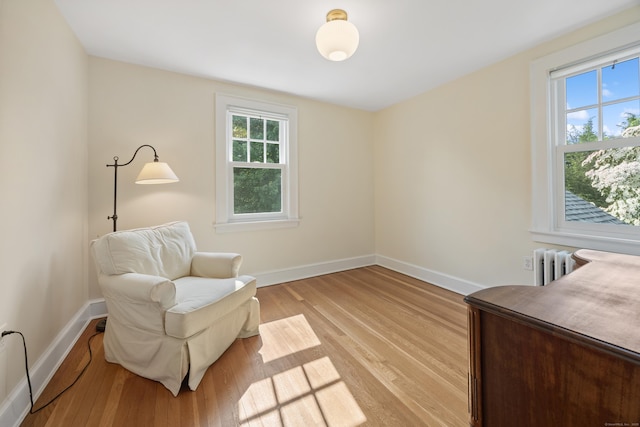 22 Spring Rd, North Haven, CT 06473 - sitting room with light wood-style flooring, healthy amount of natural light, and radiator
